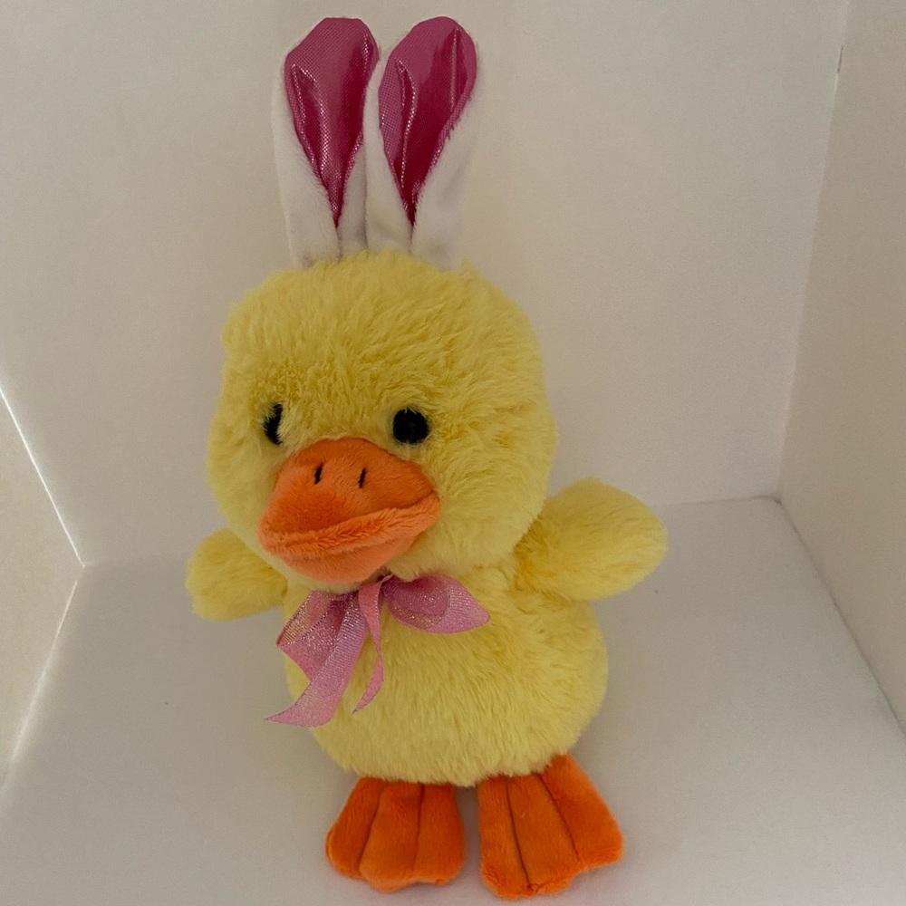 Publix Yellow Duck Rabbit Easter 2021 - 11”